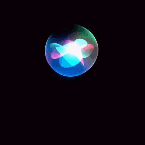 voice